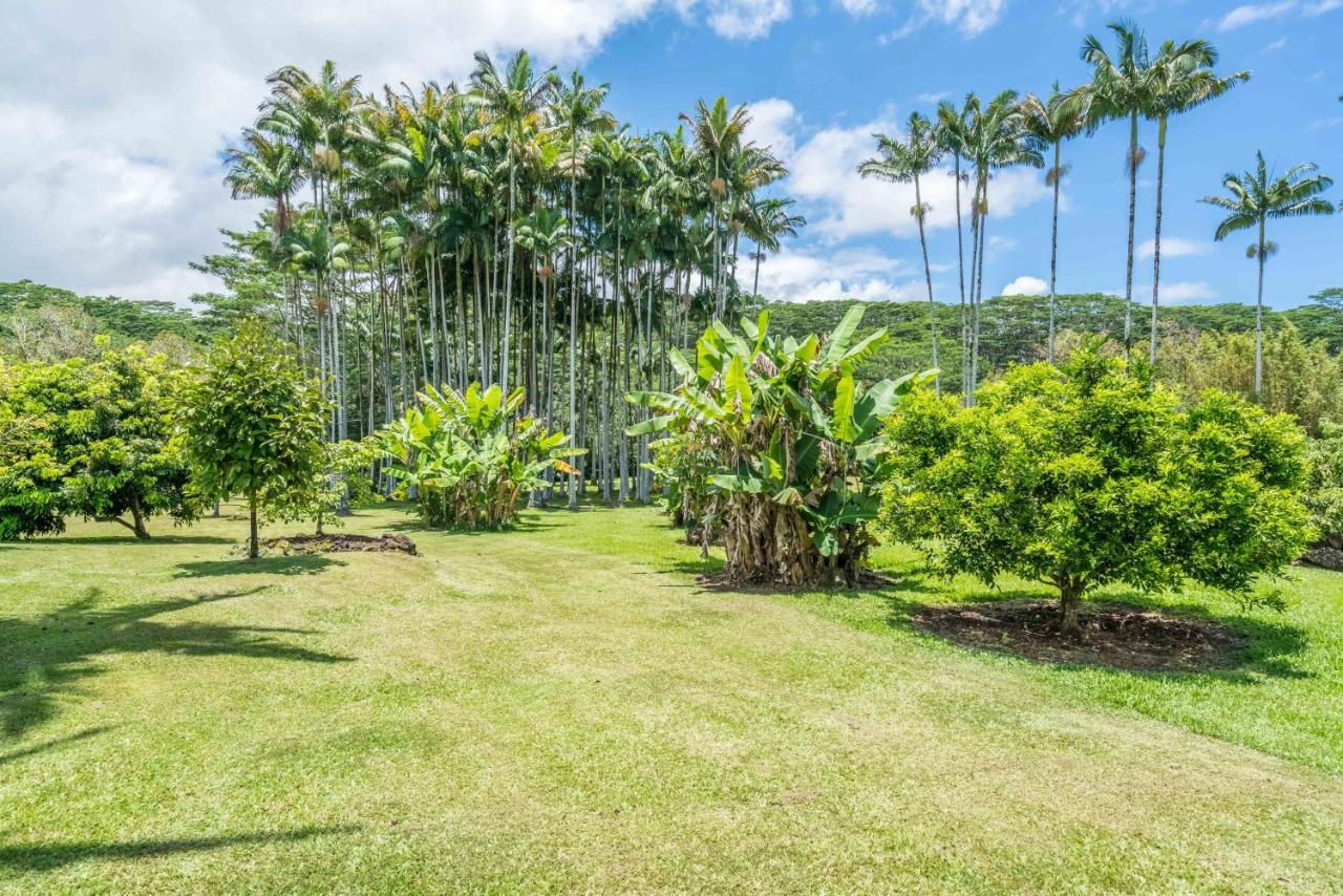 Old Hawaiian Bed And Breakfast Хіло Екстер'єр фото