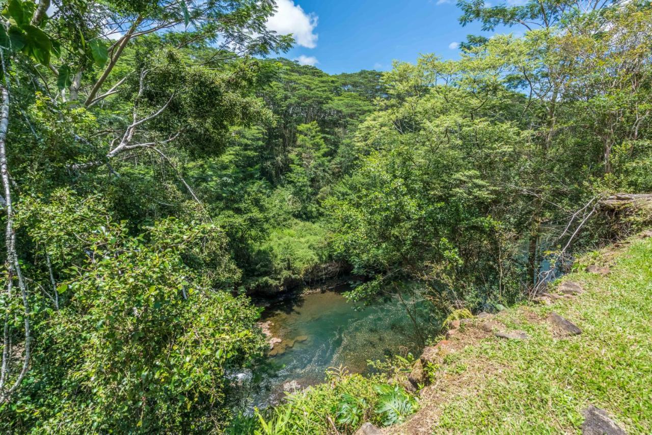 Old Hawaiian Bed And Breakfast Хіло Екстер'єр фото