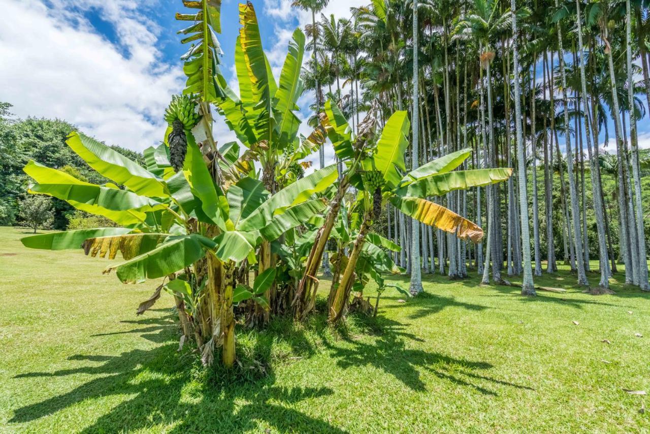 Old Hawaiian Bed And Breakfast Хіло Екстер'єр фото