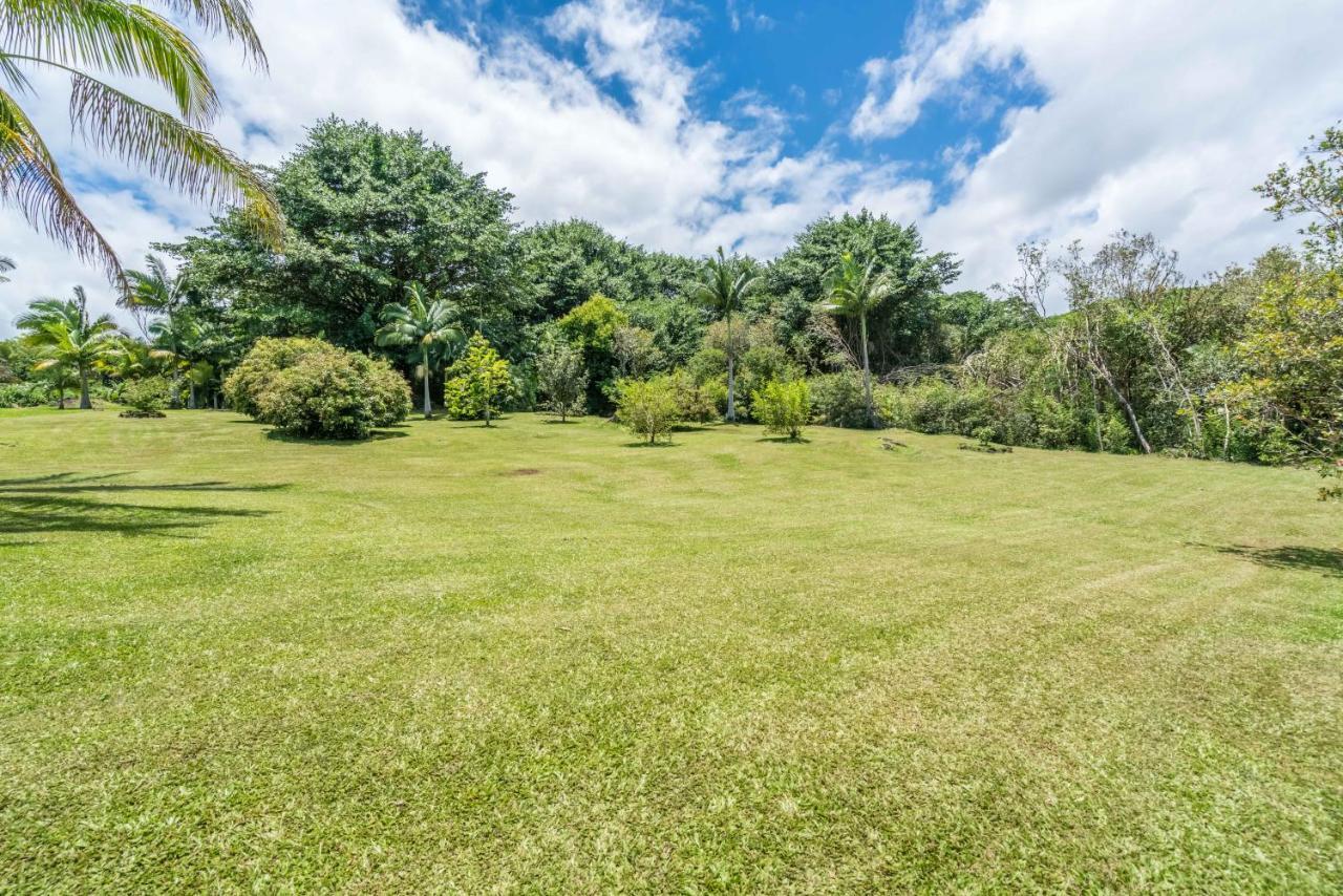 Old Hawaiian Bed And Breakfast Хіло Екстер'єр фото