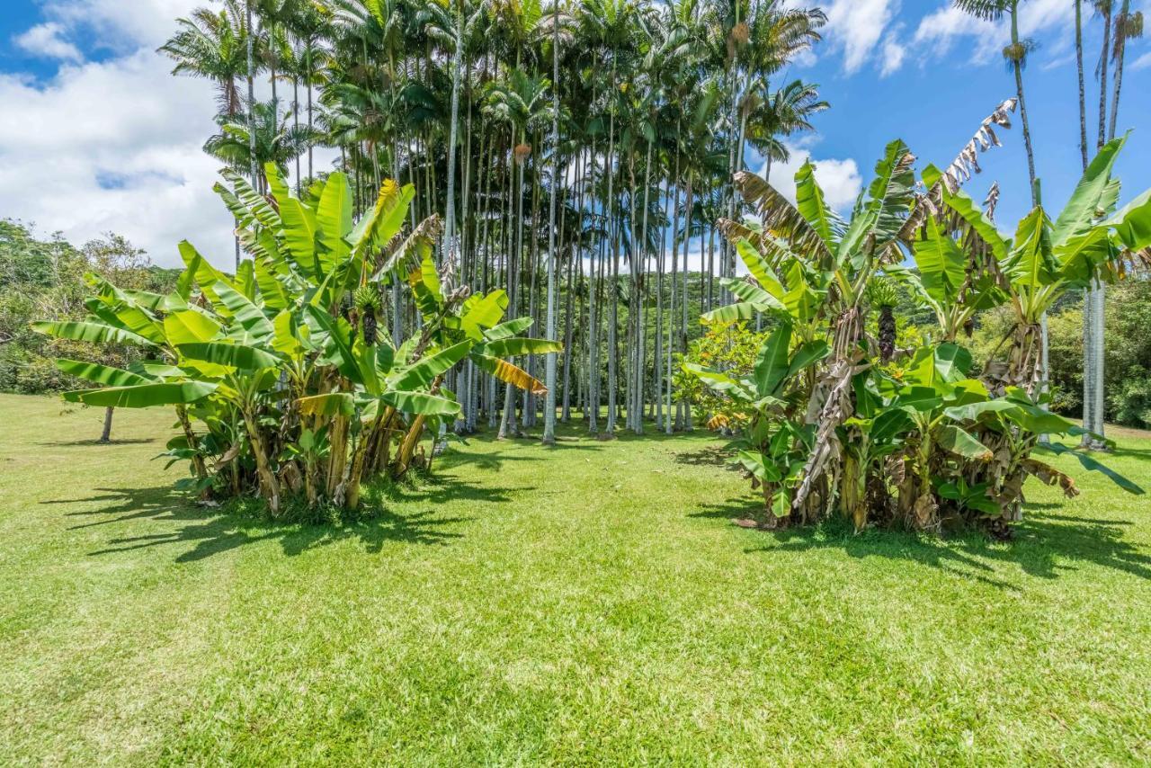 Old Hawaiian Bed And Breakfast Хіло Екстер'єр фото