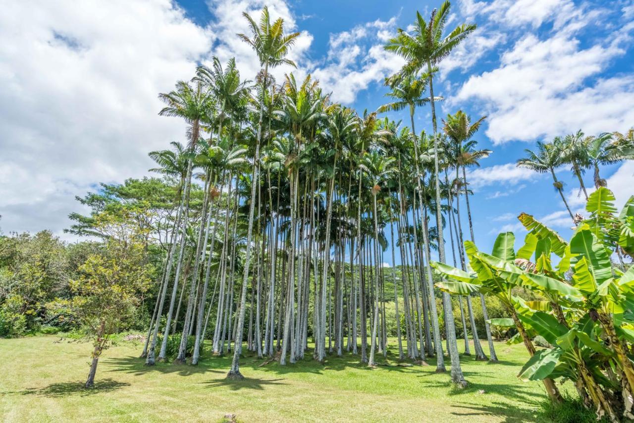 Old Hawaiian Bed And Breakfast Хіло Екстер'єр фото